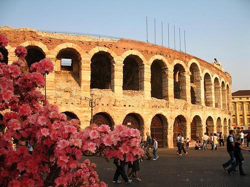 Chiara Arena